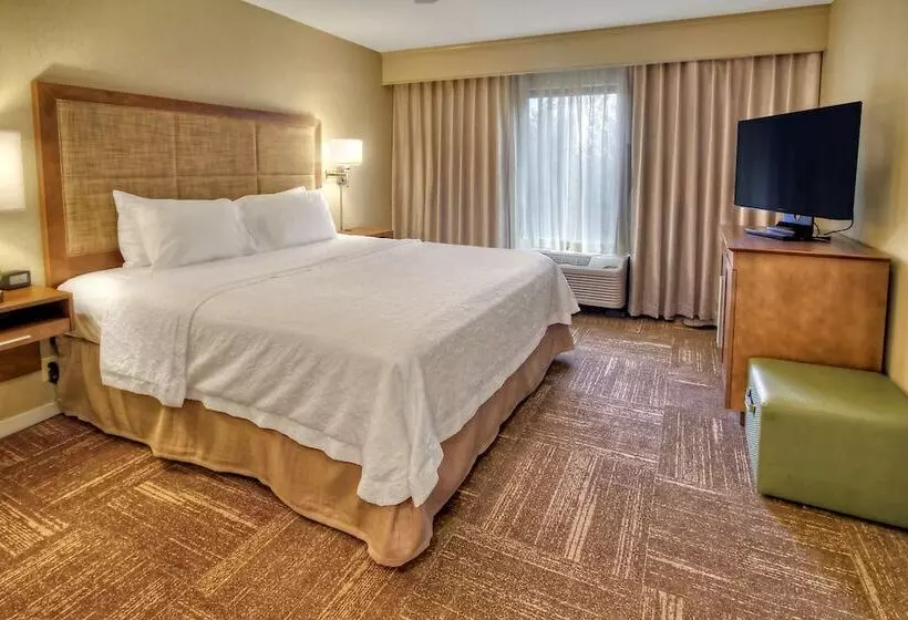 Sviitti King-vuode, Hampton Inn & Suites Asheville Airport