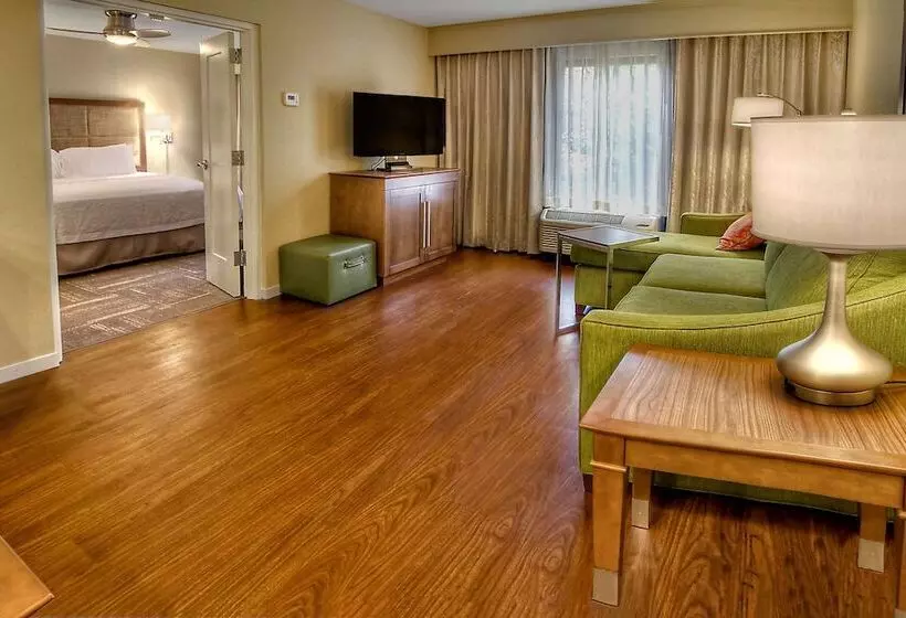Sviitti King-vuode, Hampton Inn & Suites Asheville Airport