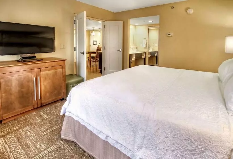 Sviitti King-vuode, Hampton Inn & Suites Asheville Airport