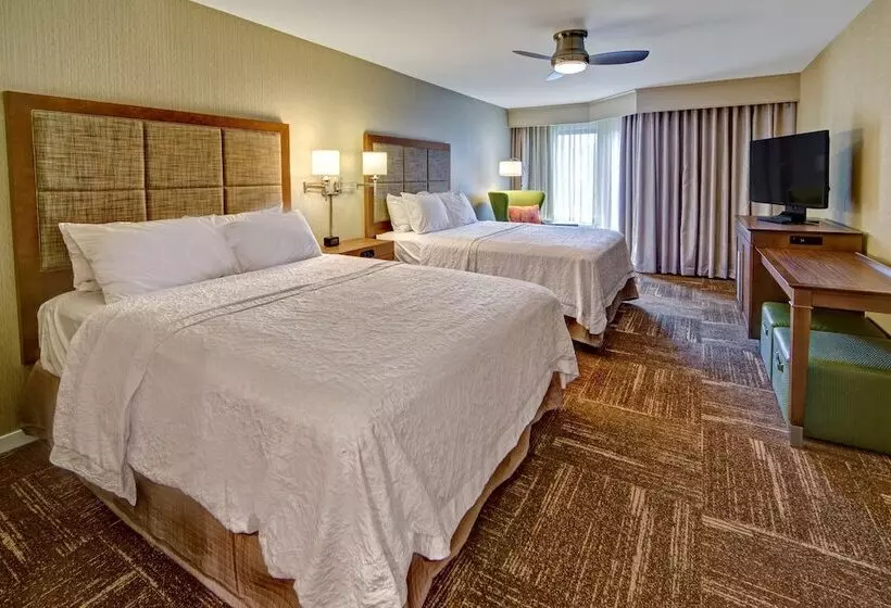 Sviitti, Hampton Inn & Suites Asheville Airport