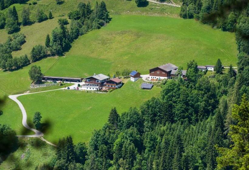 Номер Basic, Pension Bergbauernhof Irxner