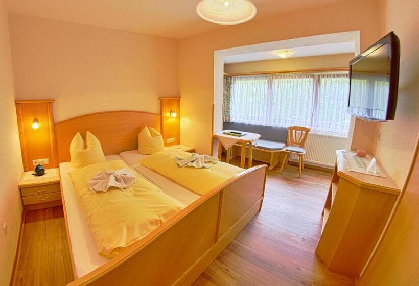 Номер Basic, Pension Bergbauernhof Irxner