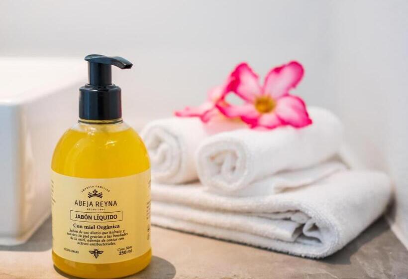 スタンダードルーム, Nereidas Lofts