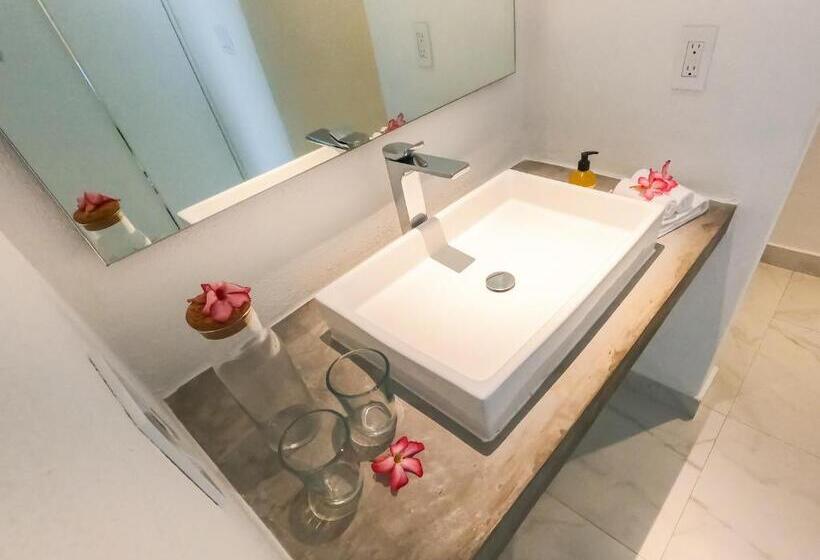 スタンダードルーム, Nereidas Lofts