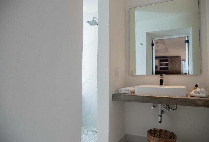 スタンダードルーム, Nereidas Lofts