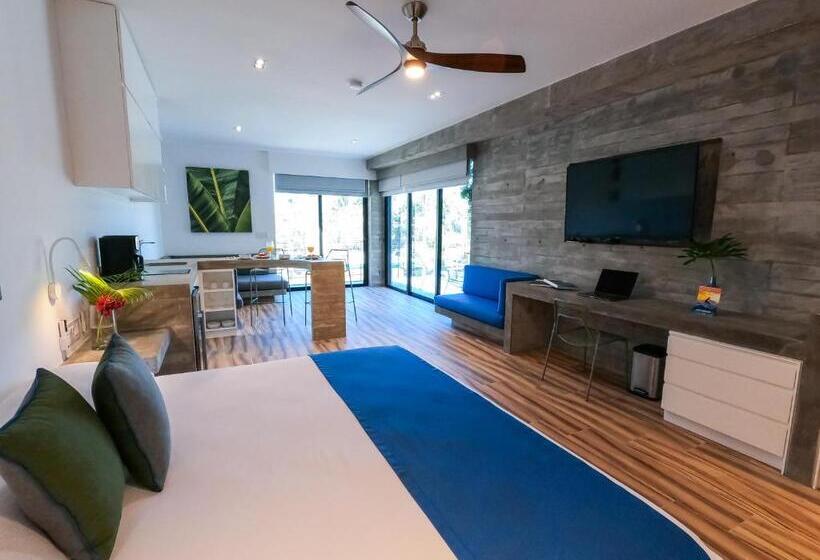 海の見えるスタンダードスタジオ, Nereidas Lofts