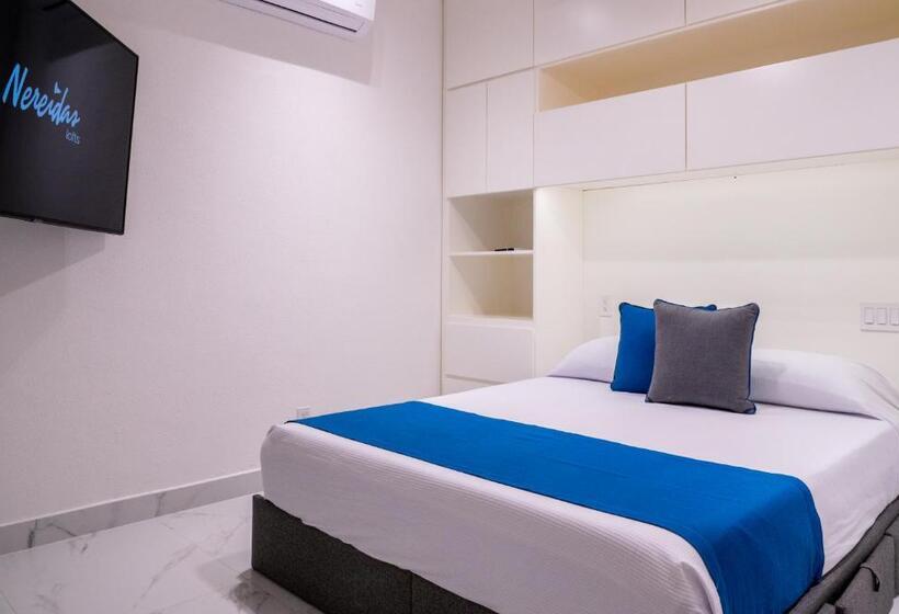 バルコニー付き１ベッドルームアパートメント, Nereidas Lofts