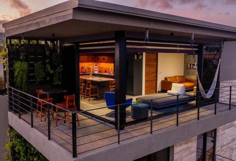 １ベッドルームのデラックスアパートメント, Nereidas Lofts