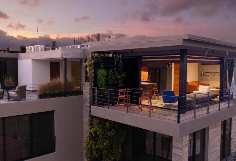 １ベッドルームのデラックスアパートメント, Nereidas Lofts