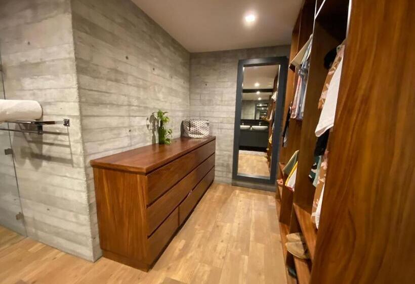 １ベッドルームのデラックスアパートメント, Nereidas Lofts