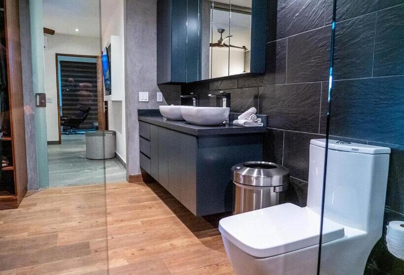 １ベッドルームのデラックスアパートメント, Nereidas Lofts