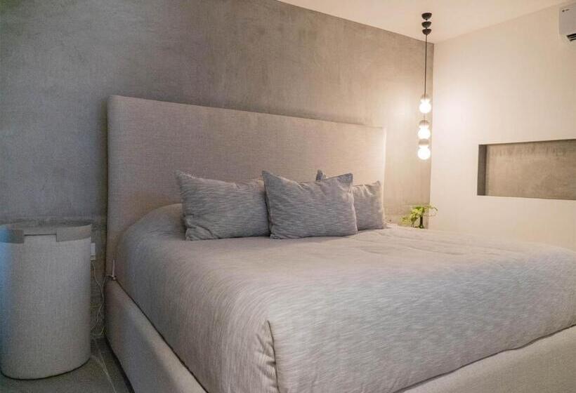 １ベッドルームのデラックスアパートメント, Nereidas Lofts