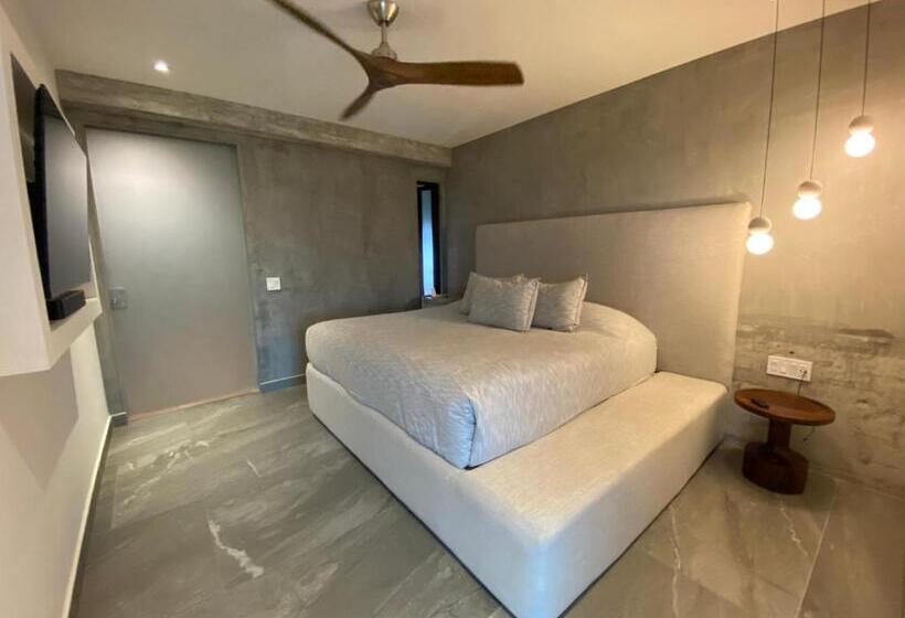 １ベッドルームのデラックスアパートメント, Nereidas Lofts