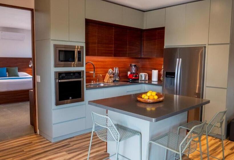 １ベッドルームアパートメント, Nereidas Lofts