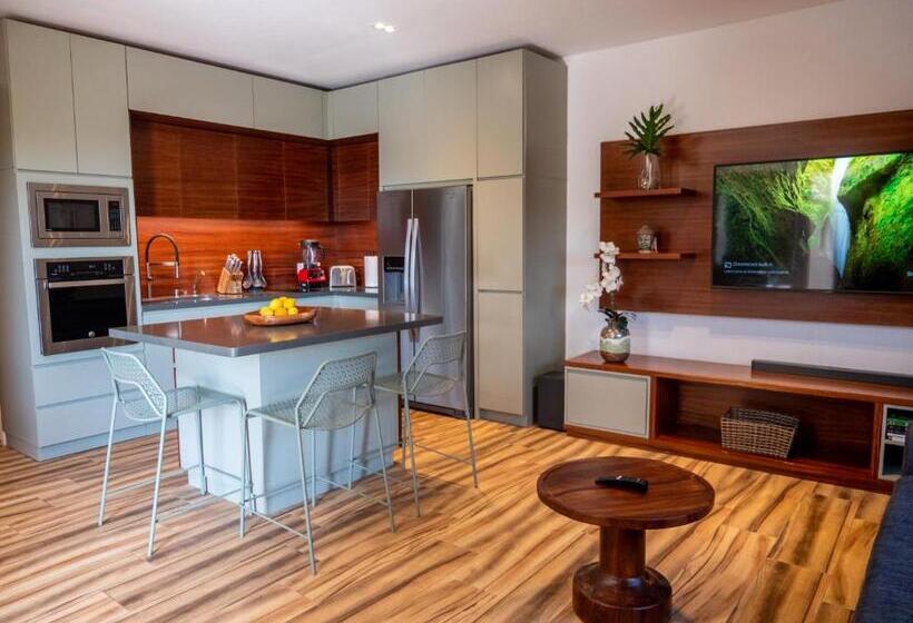 １ベッドルームアパートメント, Nereidas Lofts