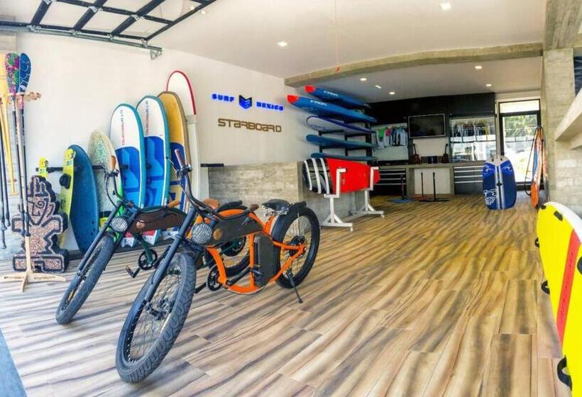 ガーデンビューのスタンダードワンルーム, Nereidas Lofts