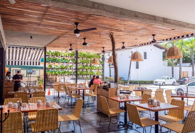 プールビュースタンダードステューディオ, Nereidas Lofts