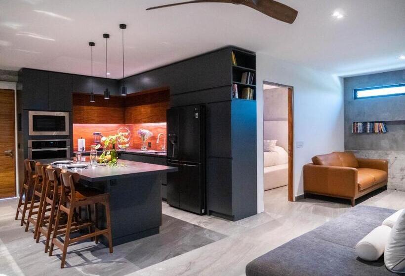１ベッドルームのデラックスアパートメント, Nereidas Lofts