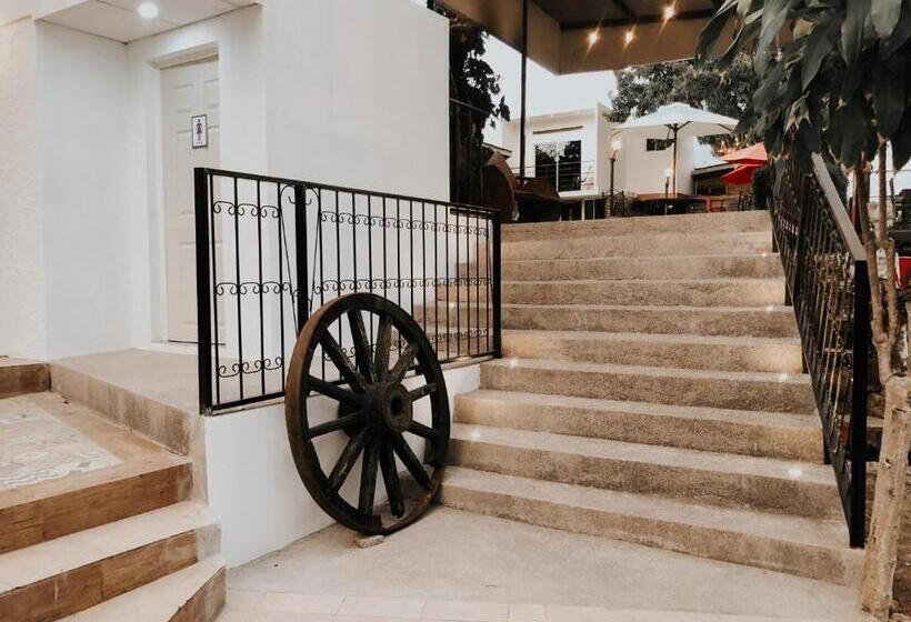 اتاق لوکس, Villa Napoli