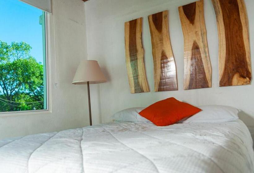 اتاق لوکس, Villa Napoli