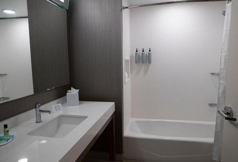 장애인을 위한 스탠다드 룸, Courtyard By Marriott Greenville Mauldin