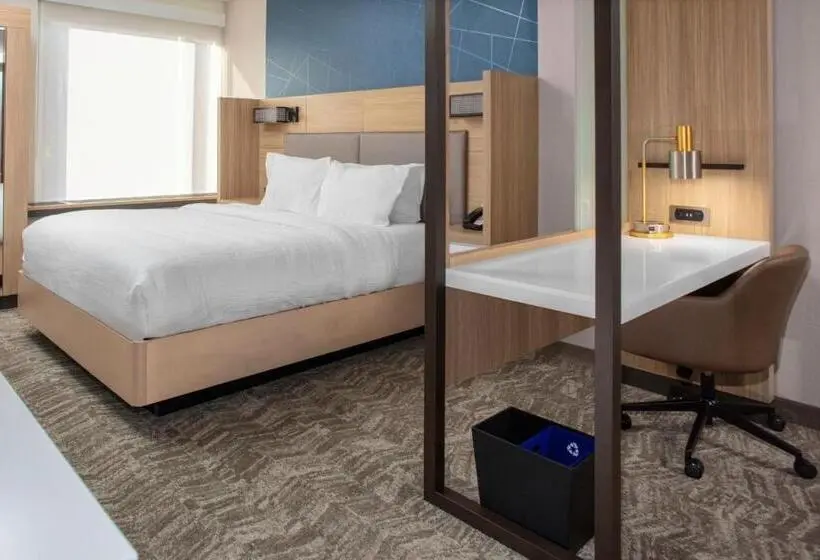 キングサイズベッドのスイートルーム, Springhill Suites By Marriott Durham City View