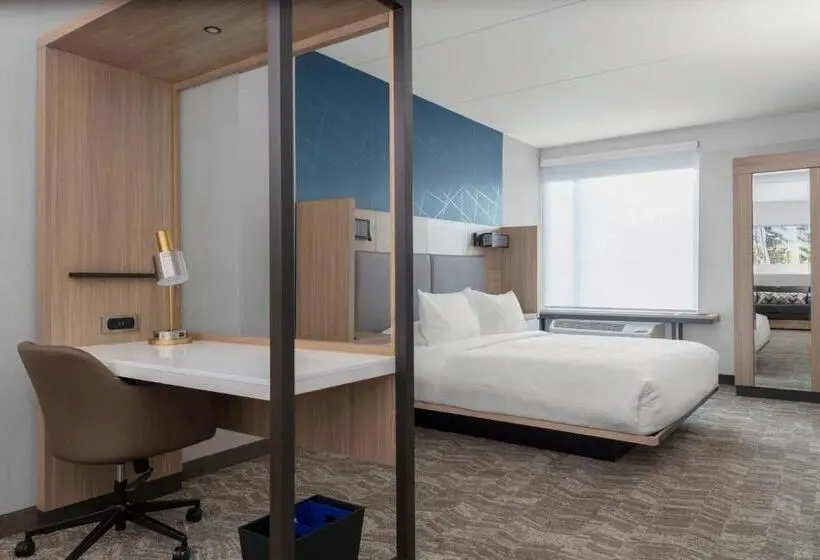 キングサイズベッドのスイートルーム, Springhill Suites By Marriott Durham City View