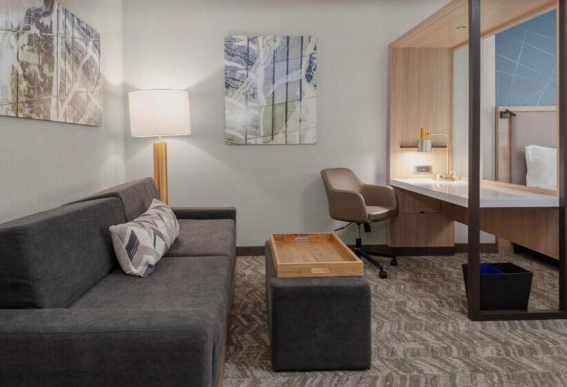 Люкс Кровать Кинг, Springhill Suites By Marriott Durham City View