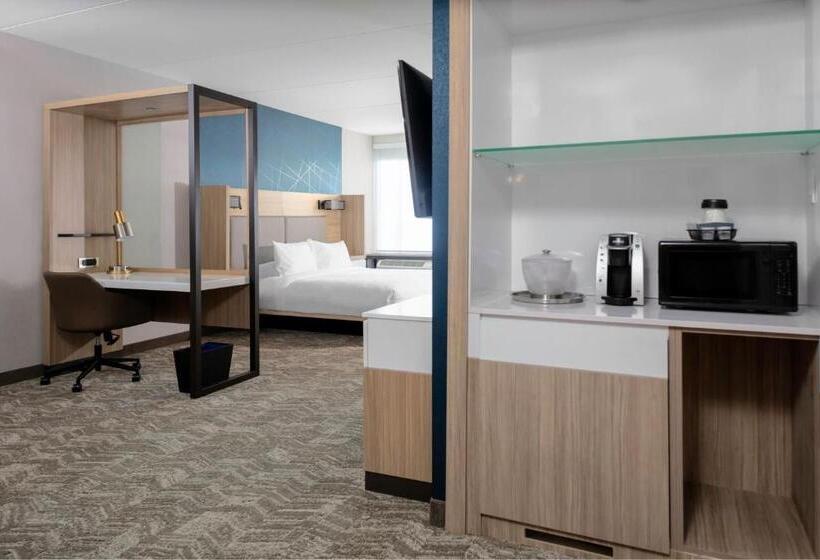 带大床的套房, Springhill Suites By Marriott Durham City View