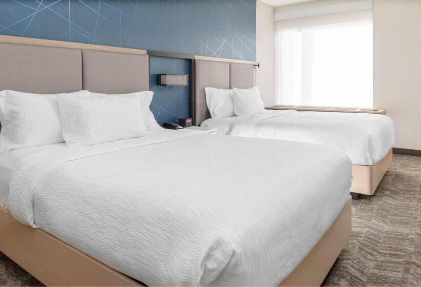Люкс, Springhill Suites By Marriott Durham City View