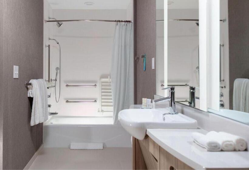 适合残疾人士使用的套间, Springhill Suites By Marriott Durham City View