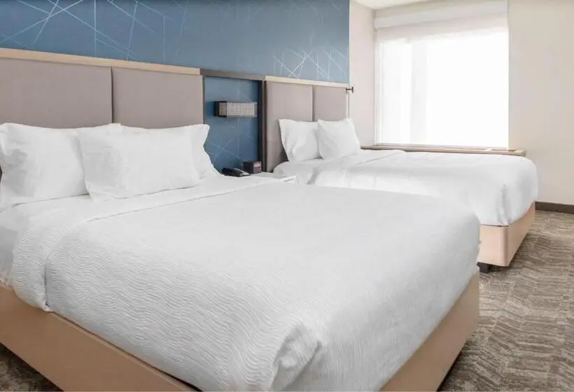 身障者適用スイートルーム, Springhill Suites By Marriott Durham City View