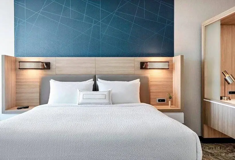 スイート, Springhill Suites By Marriott Durham City View