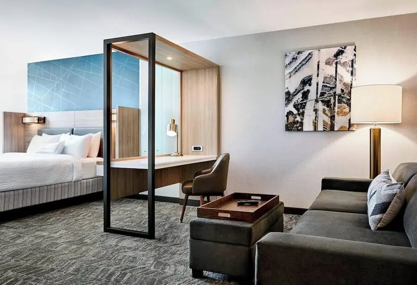 スイート, Springhill Suites By Marriott Durham City View