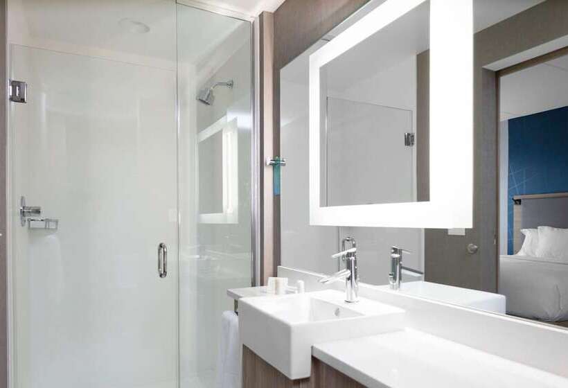 适合残疾人士使用的套间, Springhill Suites By Marriott Durham City View