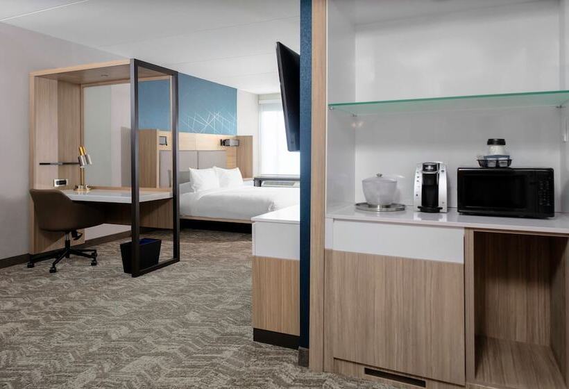 Люкс Адаптированный для Инвалидов, Springhill Suites By Marriott Durham City View