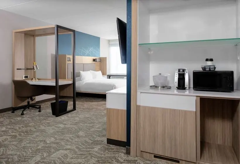 身障者適用スイートルーム, Springhill Suites By Marriott Durham City View