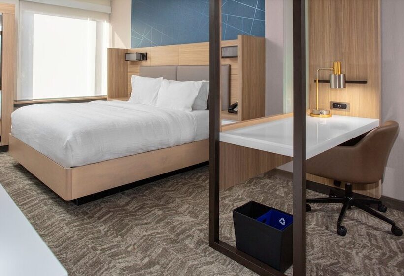 适合残疾人士使用的套间, Springhill Suites By Marriott Durham City View