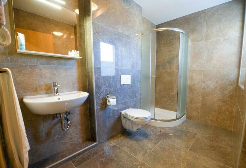 اتاق استاندارد, Baron