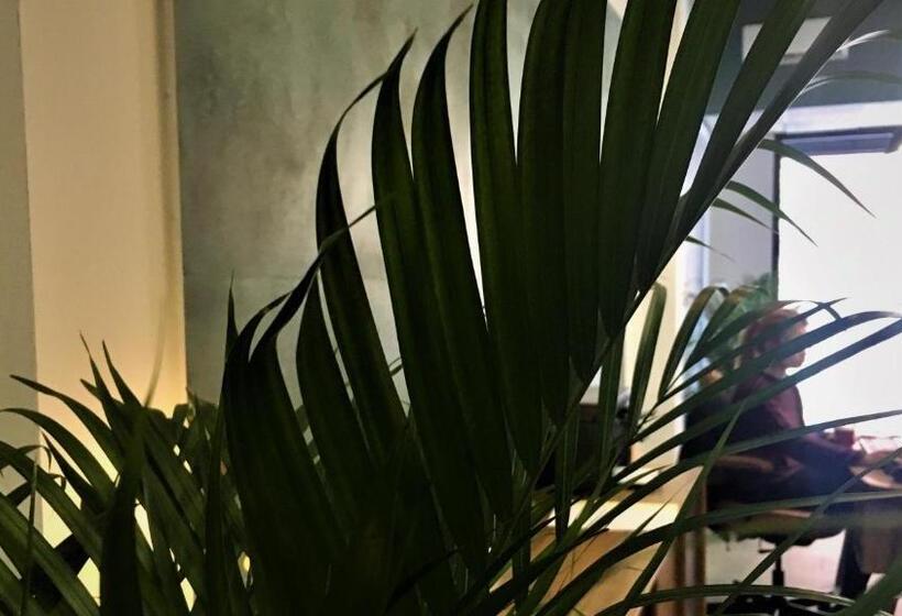 اتاق استاندارد با چشمانداز, Md Modern Hotel Jardines