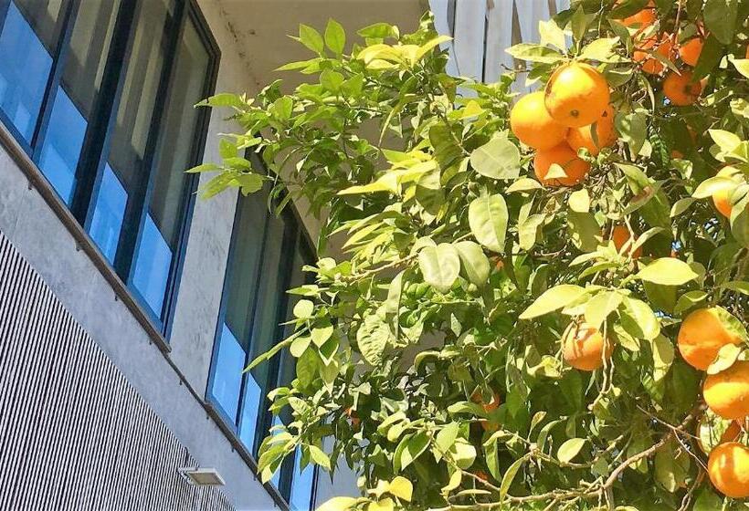 اتاق سوپریور چهار تخته, Md Modern Hotel Jardines