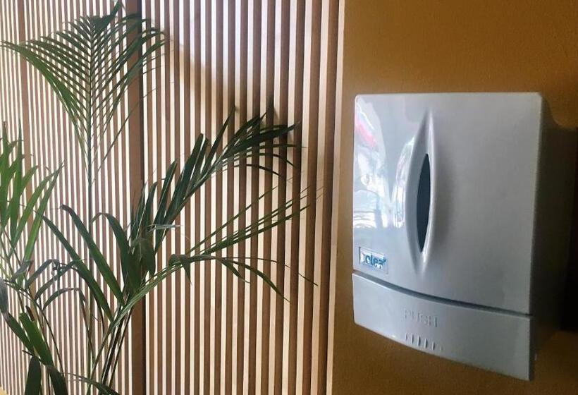 اتاق سوپریور چهار تخته, Md Modern Hotel Jardines