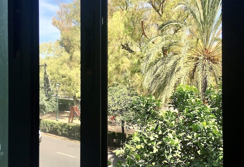 اتاق سوپریور چهار تخته, Md Modern Hotel Jardines