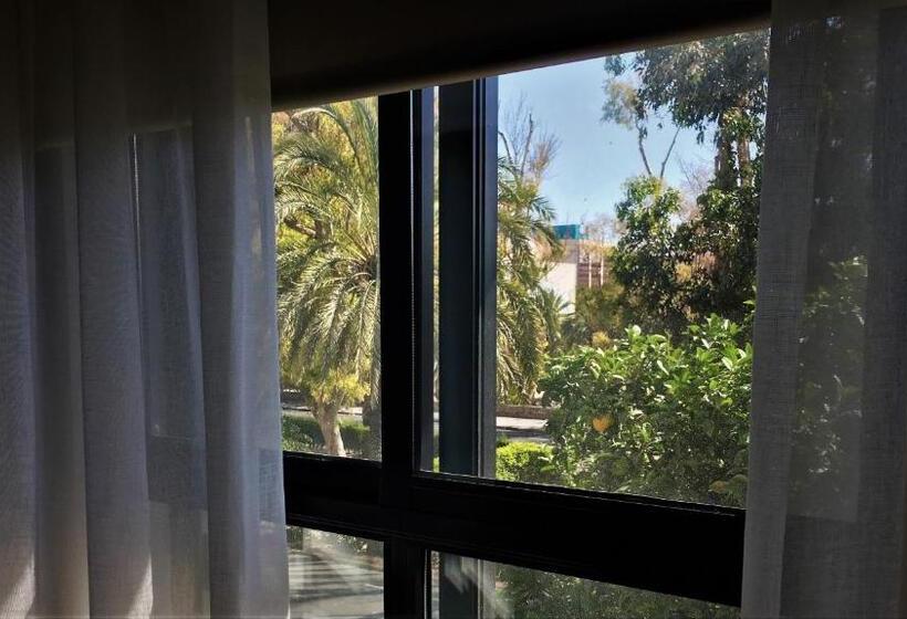 اتاق سوپریور سه تخته, Md Modern Hotel Jardines