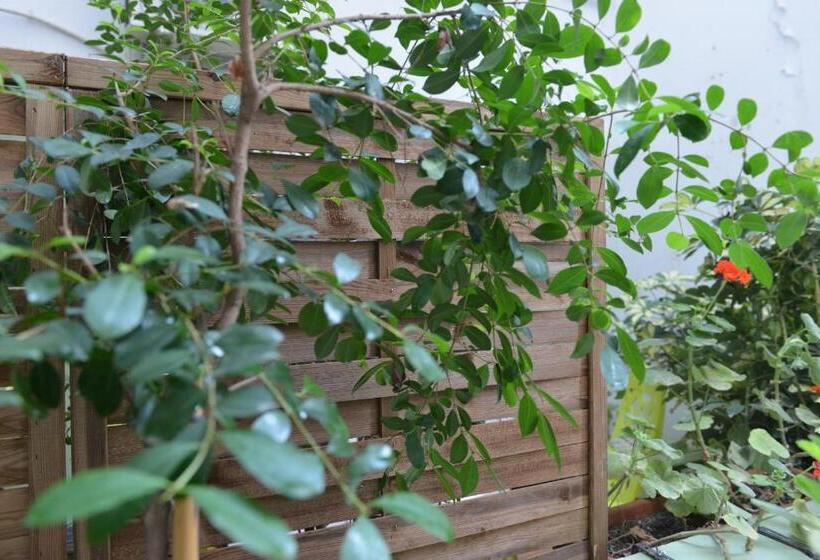 اتاق سوپریور چهار تخته, Md Modern Hotel Jardines