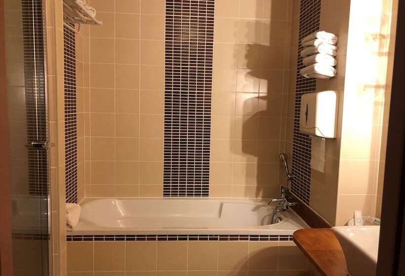 غرفة قياسية فردية, Best Western Golf D'albon