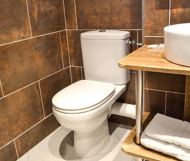 Camera Standard, De La Perdrix Rouge