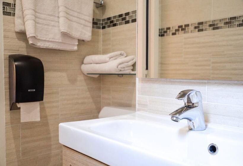 Camera Tripla Standard, De La Perdrix Rouge