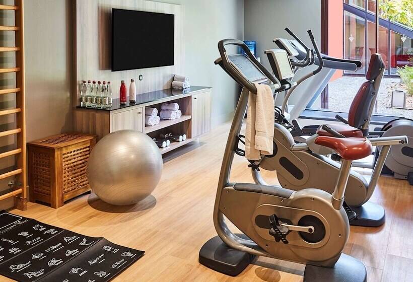 Номер Superior Нижний Этаж, Cabot Bordeaux Mgallery Collection