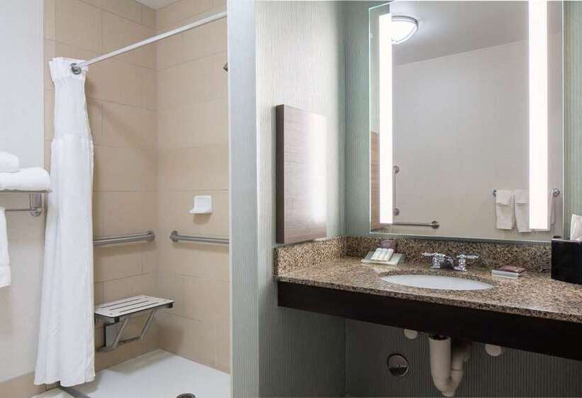 Люкс Кровать Кинг, Hilton Grand Vacations Club Parc Soleil Orlando